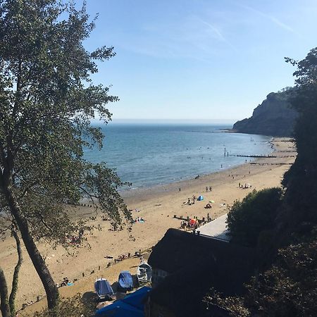 Little Gem With Private Hot Tub - Up To 25 Percent Off Ferry Leilighet Shanklin Eksteriør bilde